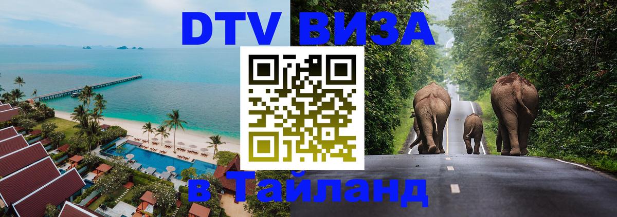 Сколько стоит DTV виза — актуальные цены, оформление даже без документов - 04.10.2025 